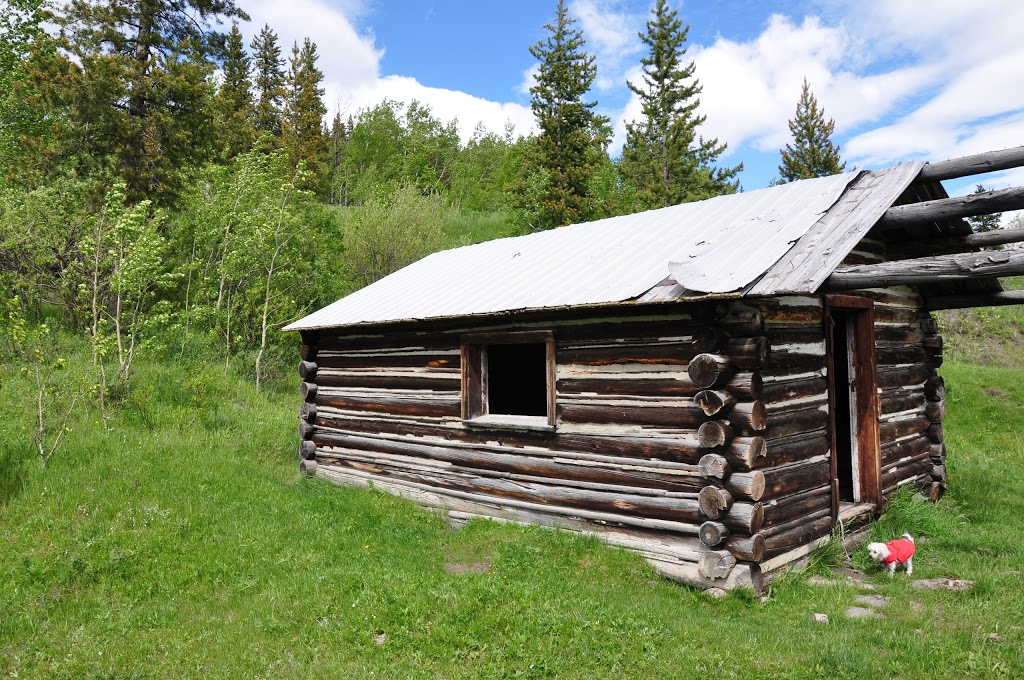 Etherington Creek Provincial Recreation Area | Kananaskis, AB T0L 1H0, Canada | Phone: (403) 591-7226