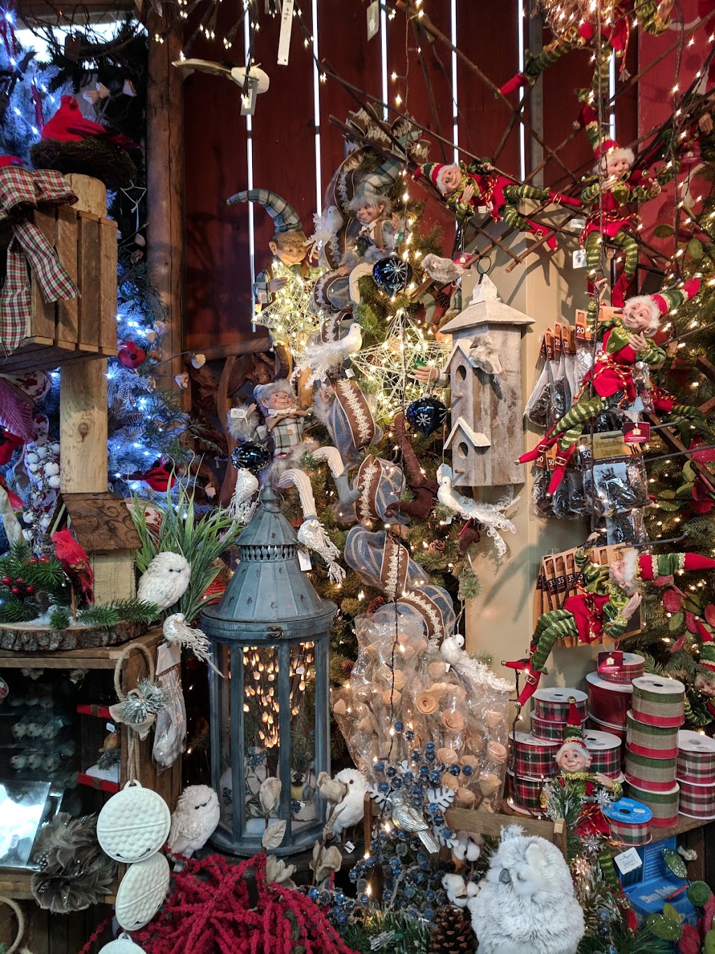 Pépinière Eco-Verdure Inc | 965 Bd Arthur-Sauvé, Saint-Eustache, QC J7R 4K3, Canada | Phone: (450) 472-6474