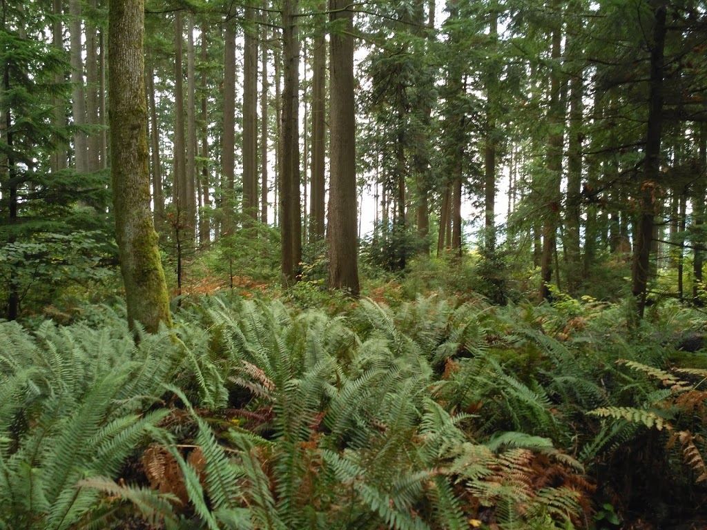 Walton Park | 3000 Guildford Way, Coquitlam, BC V3B 6Y1, Canada | Phone: (604) 927-3000