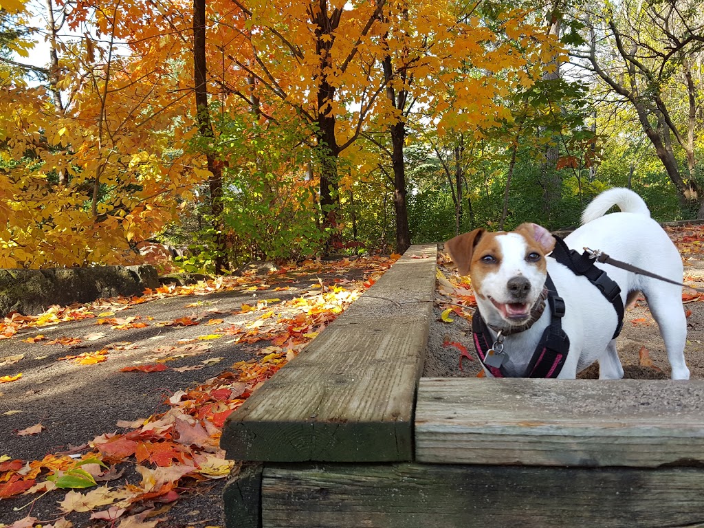 Whalen Park | 5115 Kanata Ave, Kanata, ON K2K 3K5, Canada | Phone: (866) 261-9799