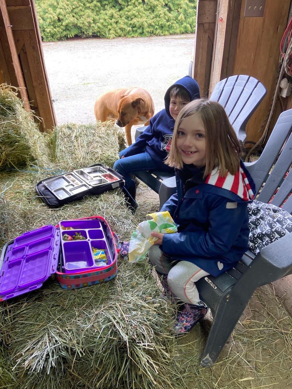 Unbridled Discovery Farm | 36936 McKamey Rd, Fraser Valley, BC V2V 6T1, Canada | Phone: (604) 613-2279