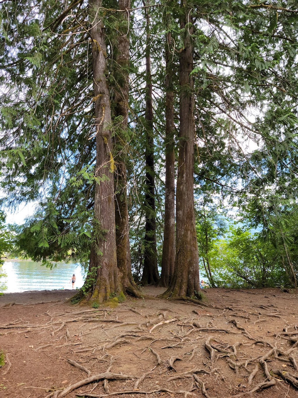 Taylor Arm Provincial Park | Pacific Rim Hwy, Port Alberni, BC V0R 1W0, Canada | Phone: (250) 474-1336