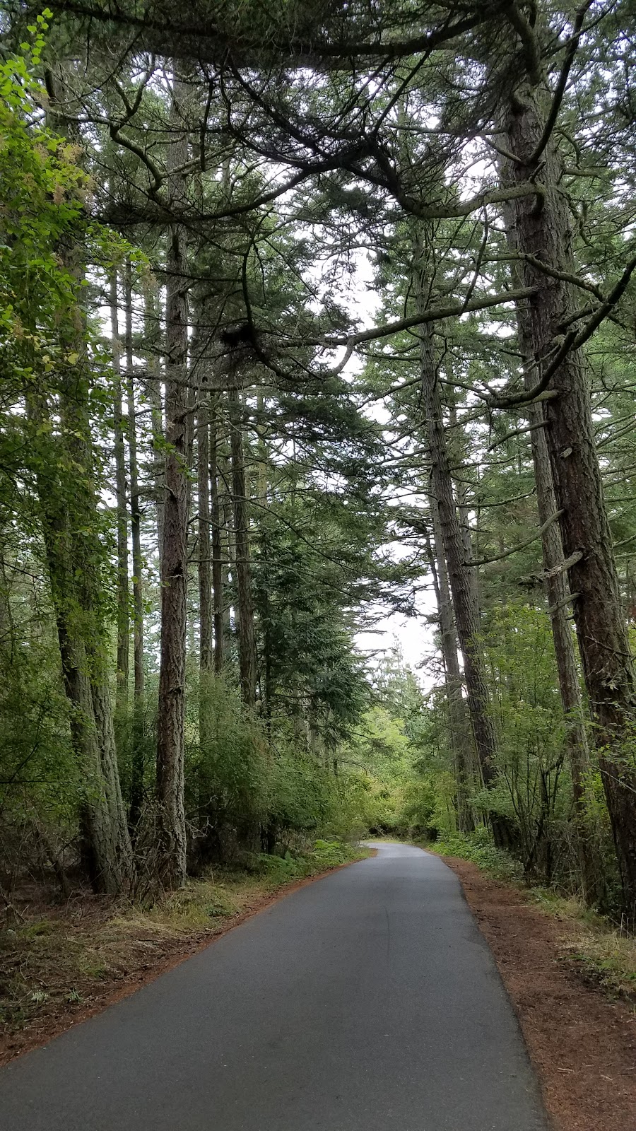 Washington Park | 6300 Sunset Ave, Anacortes, WA 98221, USA | Phone: (360) 293-1918