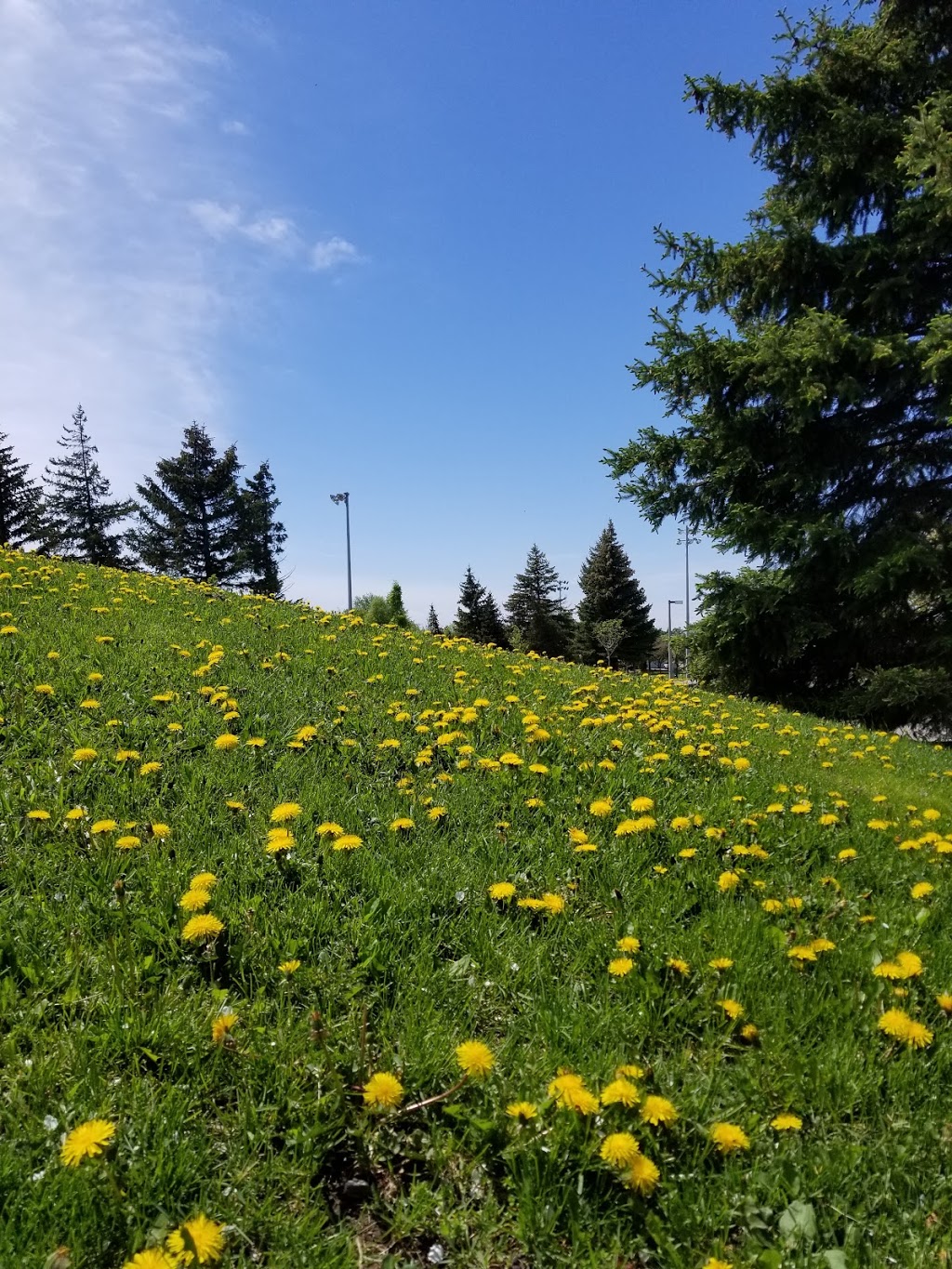 Markham Centennial Park | 4 Miley Dr, Markham, ON L3R, Canada | Phone: (905) 477-5530