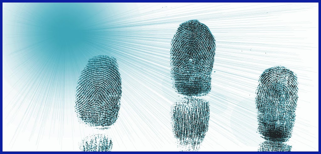 SSTForensics | 2993 Delia Crescent, Brights Grove, ON N0N 1C0, Canada | Phone: (416) 455-2399