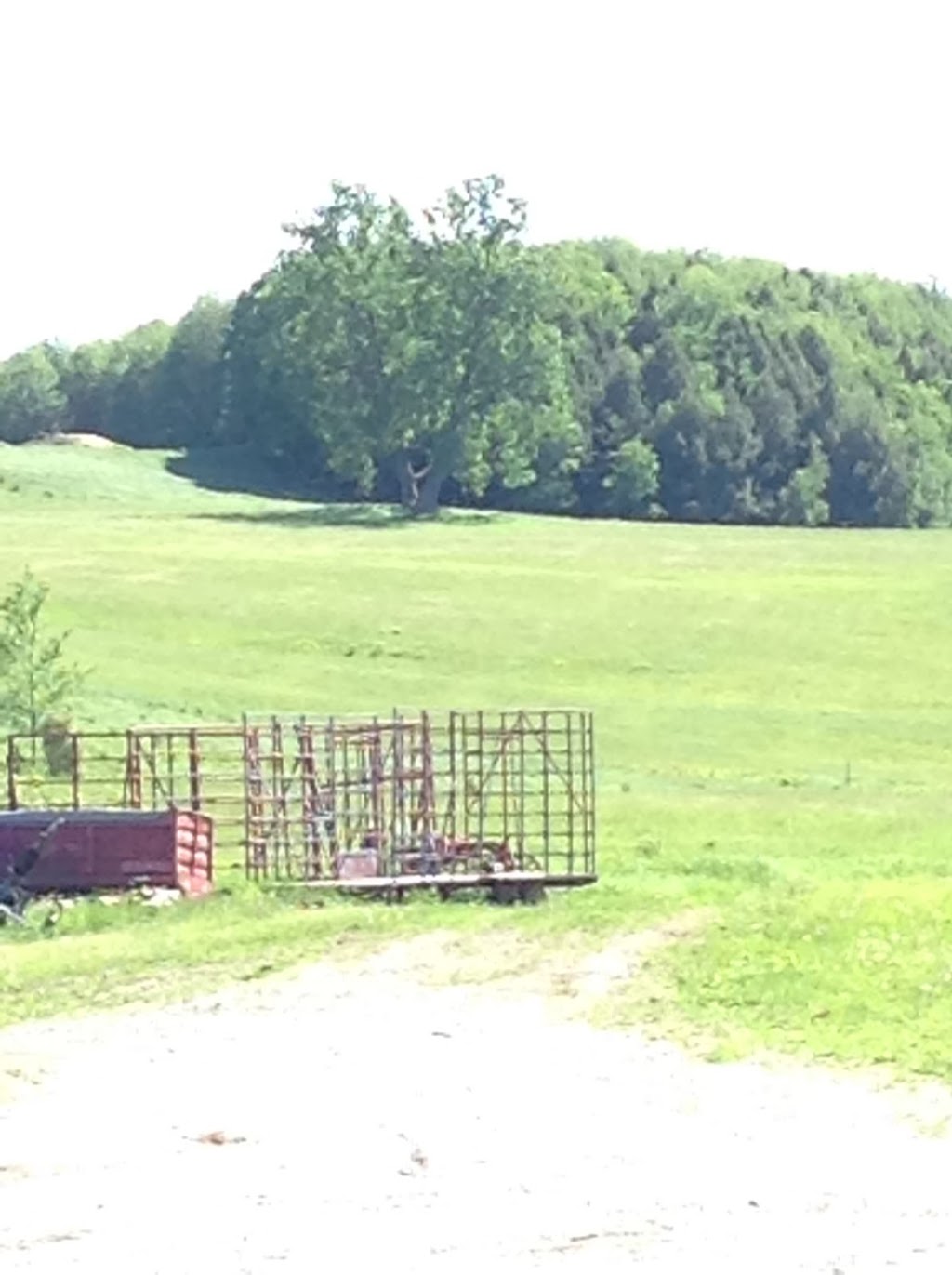 Les terres du milieu SENC | 1012 Chem. Gee, Melbourne, QC J0B 2B0, Canada | Phone: (450) 539-4057
