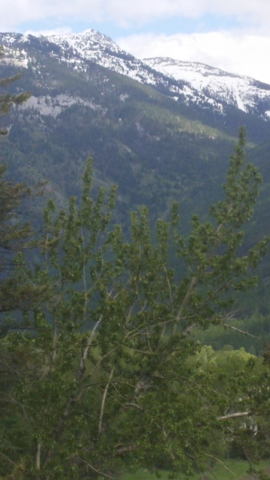 South Country Services | 5385 BC-3, Elko, BC V0B 1J0, Canada | Phone: (250) 529-7349