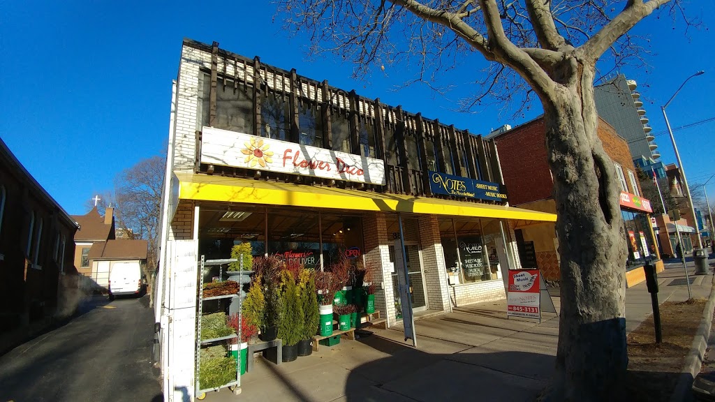 Flower Deco | 35 Lakeshore Rd W, Oakville, ON L6K 1C8, Canada | Phone: (905) 337-0968