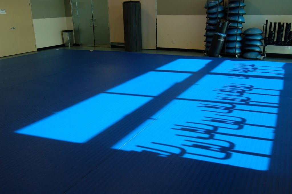 Tillman Hapkido | 11950 Country Village Link NE, Calgary, AB T3K 6E3, Canada | Phone: (587) 968-1812