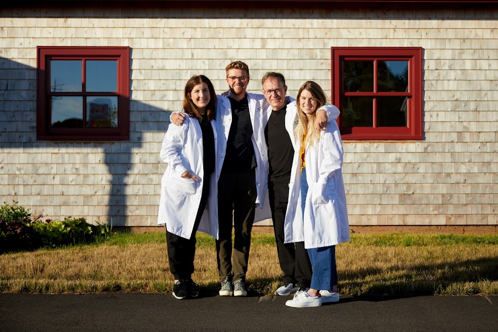Cornwall Dental Clinic | 11 Church Street, Cornwall, PE C0A 1H0, Canada | Phone: (902) 566-4004