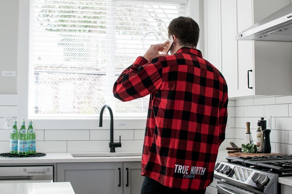 True North Plumbing | 35286 Selkirk Ave, Abbotsford, BC V2S 8L2, Canada | Phone: (604) 309-5885