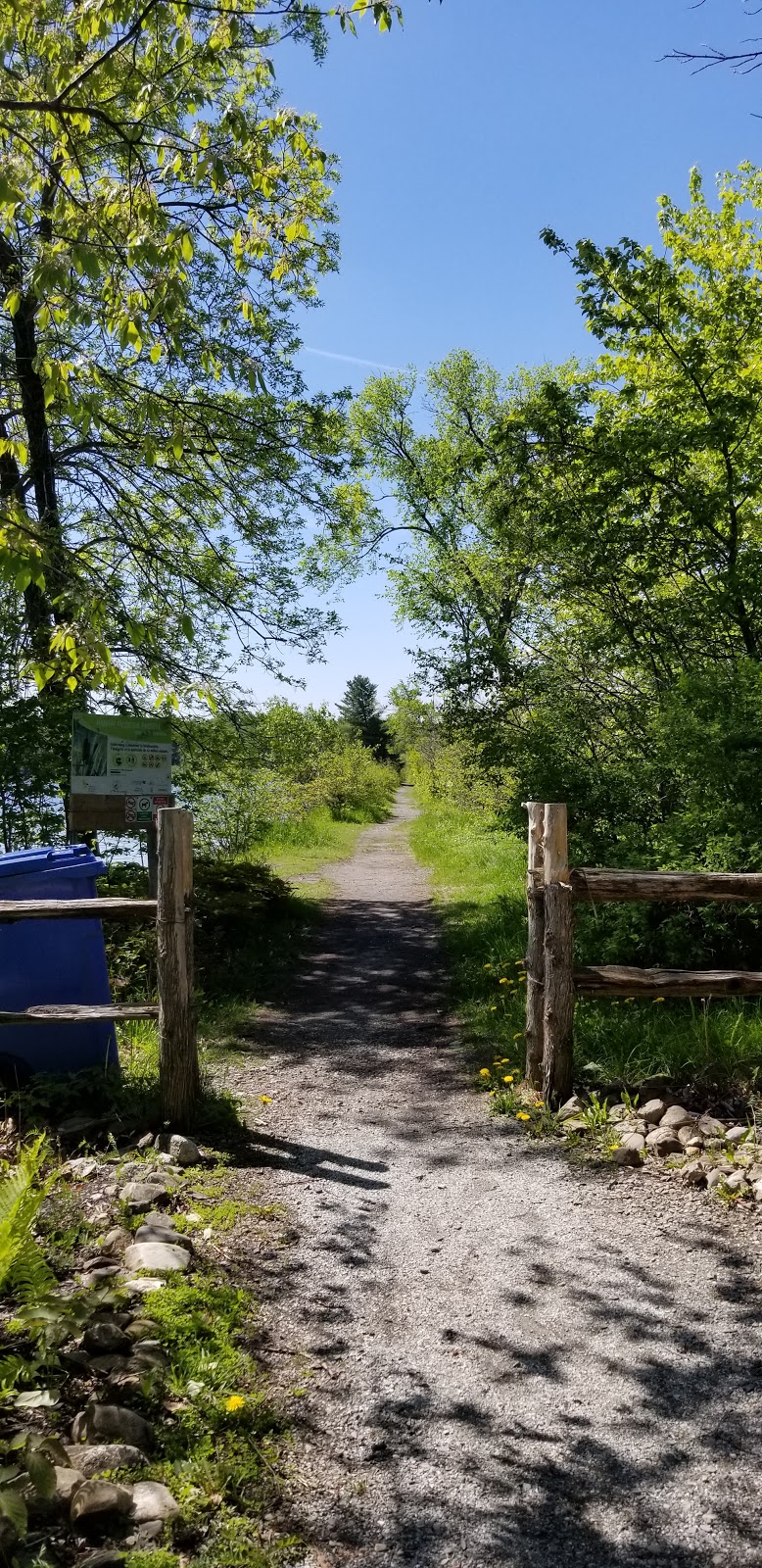 Marais de Ste-Catherine-de-Hatley | Sainte-Catherine-de-Hatley, QC J0B, Canada