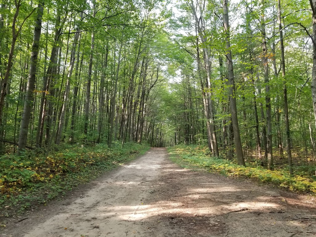 Durham Regional Forest | Concession Rd 7, Uxbridge, ON L9P 1R4, Canada | Phone: (905) 852-0095
