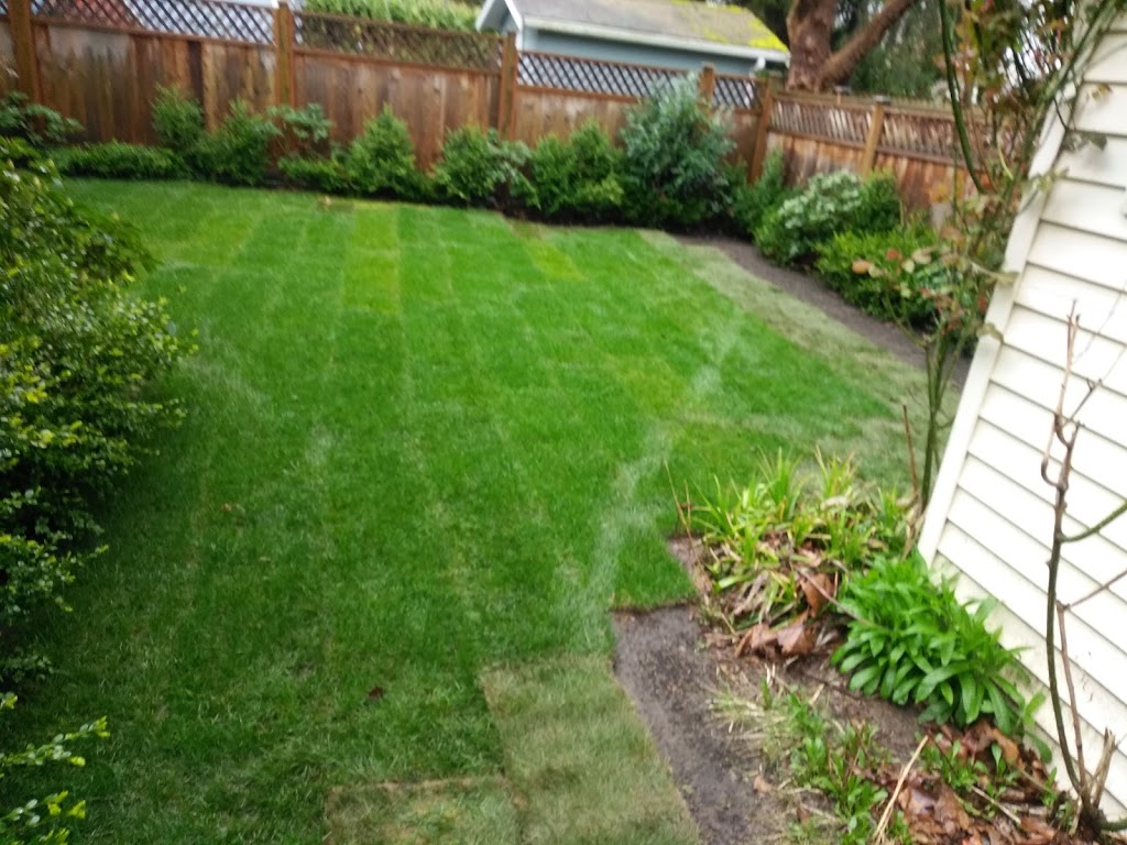 JTC LANDSCAPING | 7280 Lindsay Rd #107, Richmond, BC V7C 3M6, Canada | Phone: (604) 700-1339