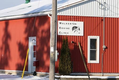 Walkerton Equine Veterinary Clinic | 13 Maple Hill Rd, Walkerton, ON N0G 2V0, Canada | Phone: (519) 881-2550