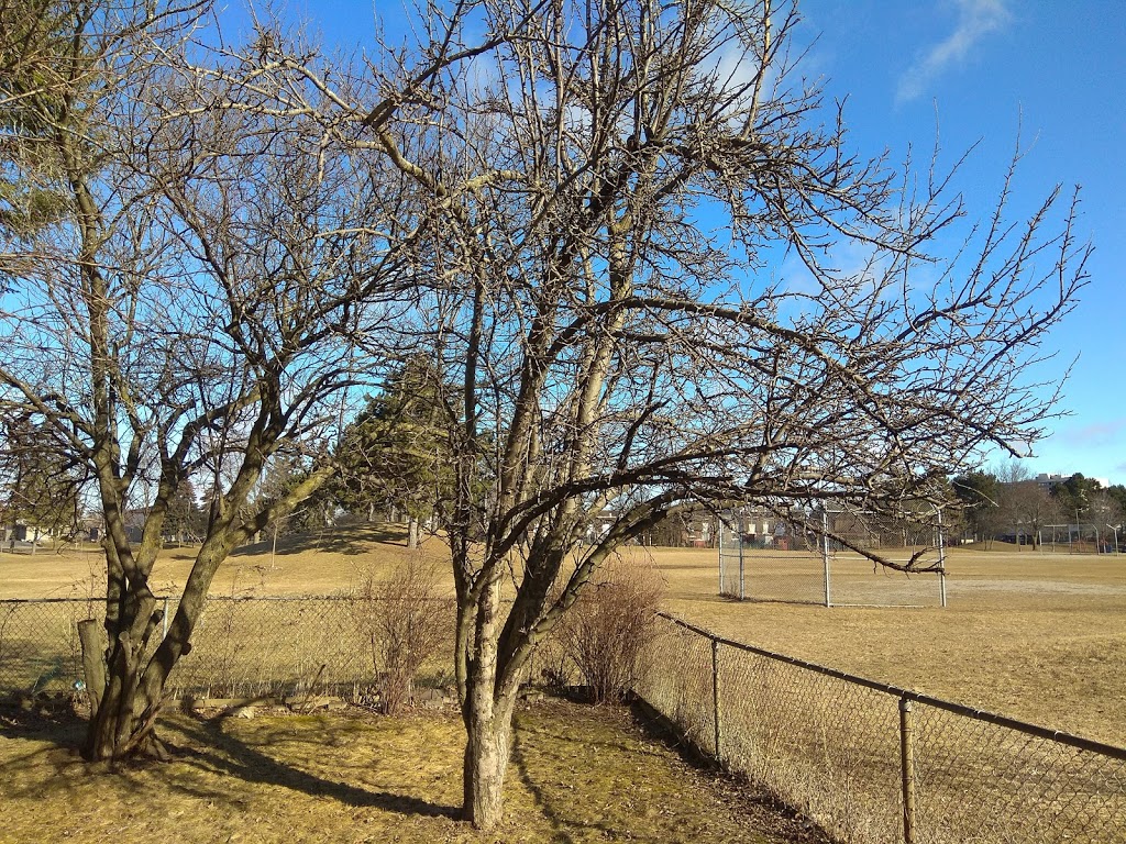 Berner Trail Park | 45 Nahanni Terrace, Scarborough, ON M1B 1E7, Canada | Phone: (416) 338-4386