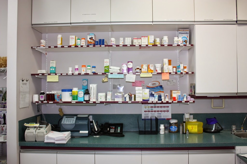Calgary Cat Clinic | 2116 Crowchild Trail NW, Calgary, AB T2M 3Y7, Canada | Phone: (403) 289-9999