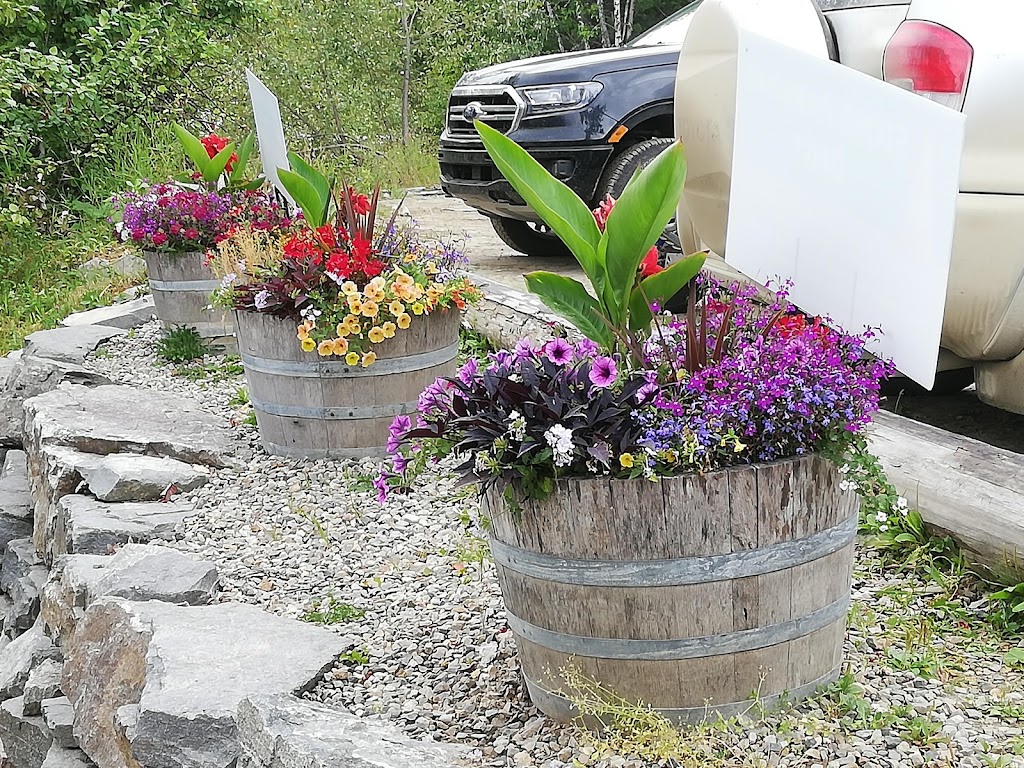 Daniels Store and Marina | 1142 Seymour Arm Bay Rd, Seymour Arm, BC V0E 2V2, Canada | Phone: (778) 765-1609