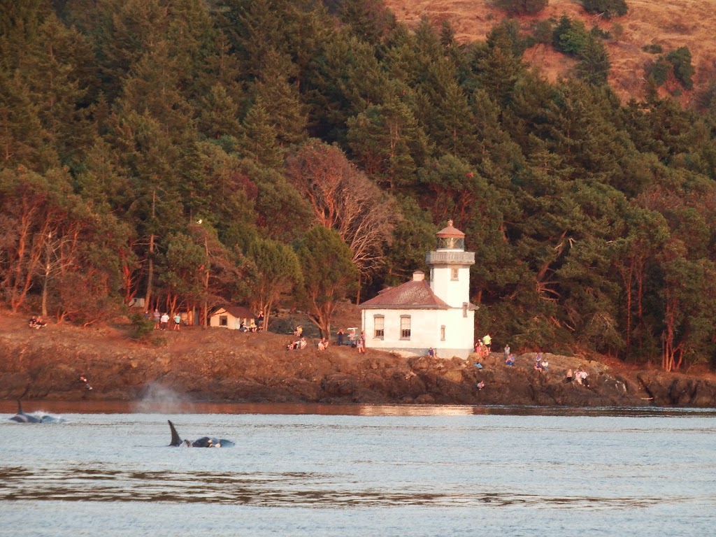 Lime Kiln Lighthouse | Lighthouse Rd, Friday Harbor, WA 98250, USA | Phone: (360) 378-2044