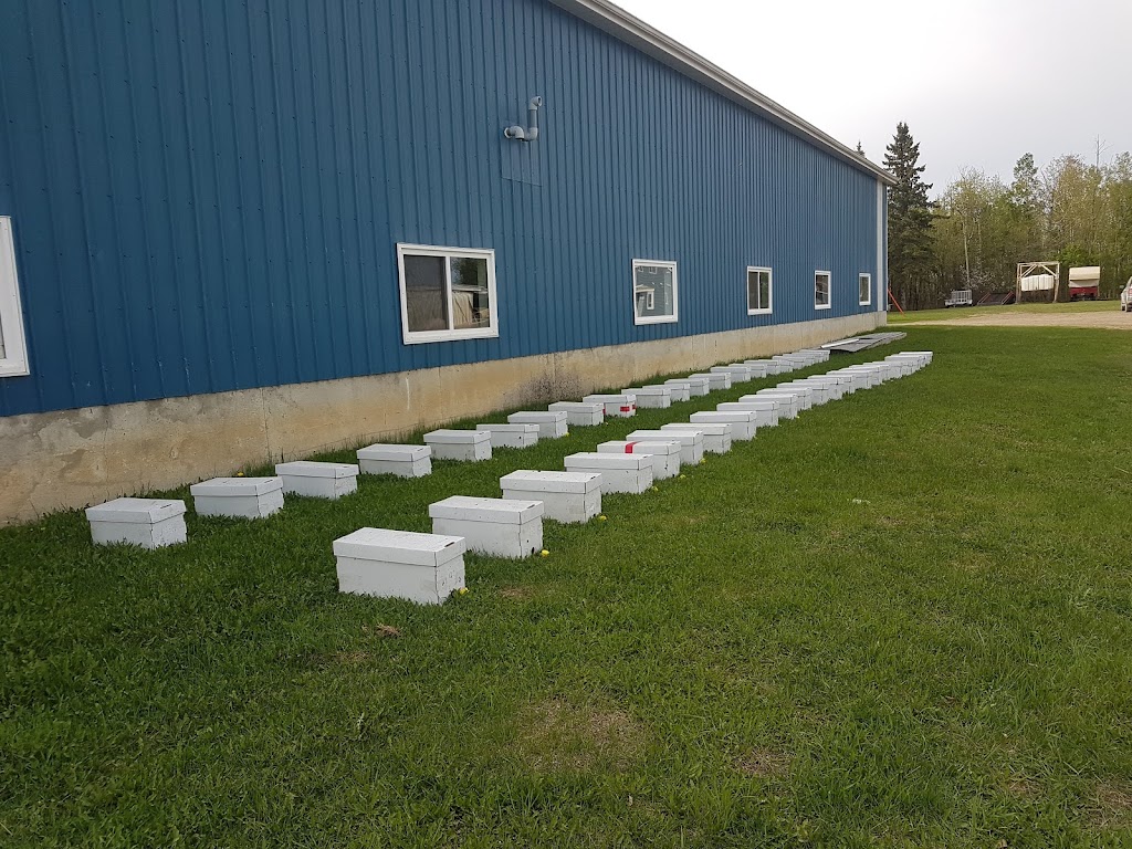 Greidanus Apiaries | 56107 Range Rd 245, Legal, AB T0G 1L0, Canada | Phone: (780) 220-5663