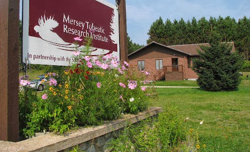Mersey Tobeatic Research Institute | 9 Mt Merritt Rd, Caledonia, NS B0T 1B0, Canada | Phone: (902) 682-2371