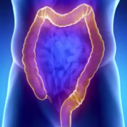 Colonic Spa | 24 Wishing Well Cres, Caledon, ON L7C 3R2, Canada | Phone: (905) 996-0252