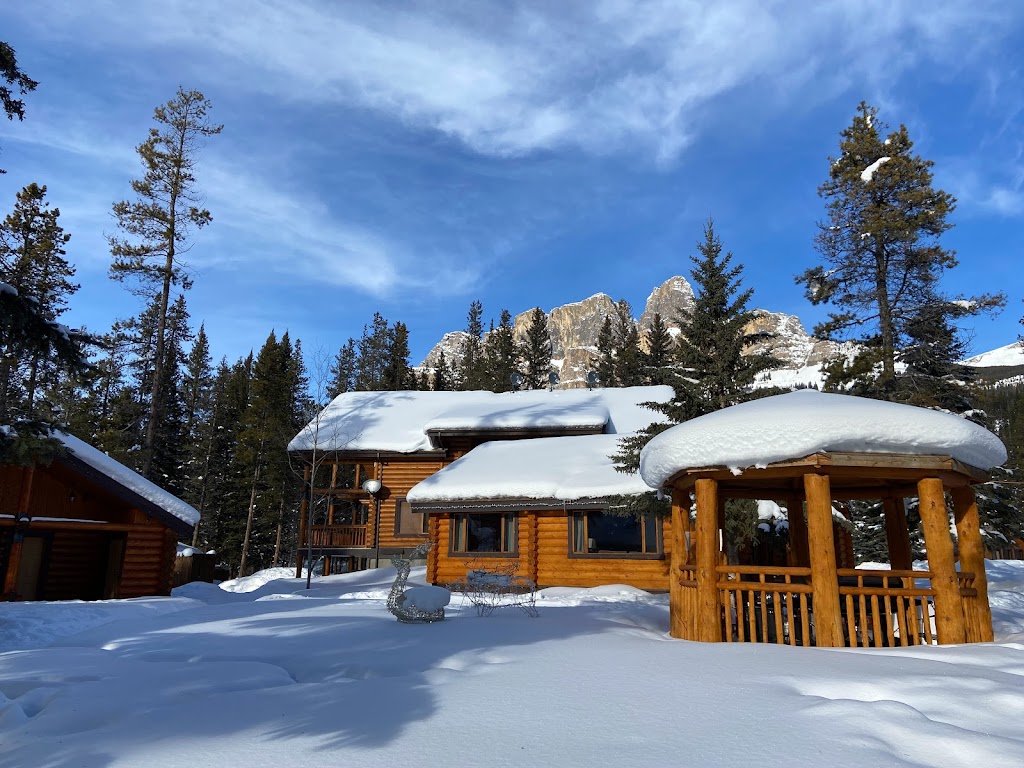 Castle Mountain Gas Station | AB-1A &, Banff-Windermere Hwy, Banff, AB T1L 1B5, Canada | Phone: (403) 762-3868