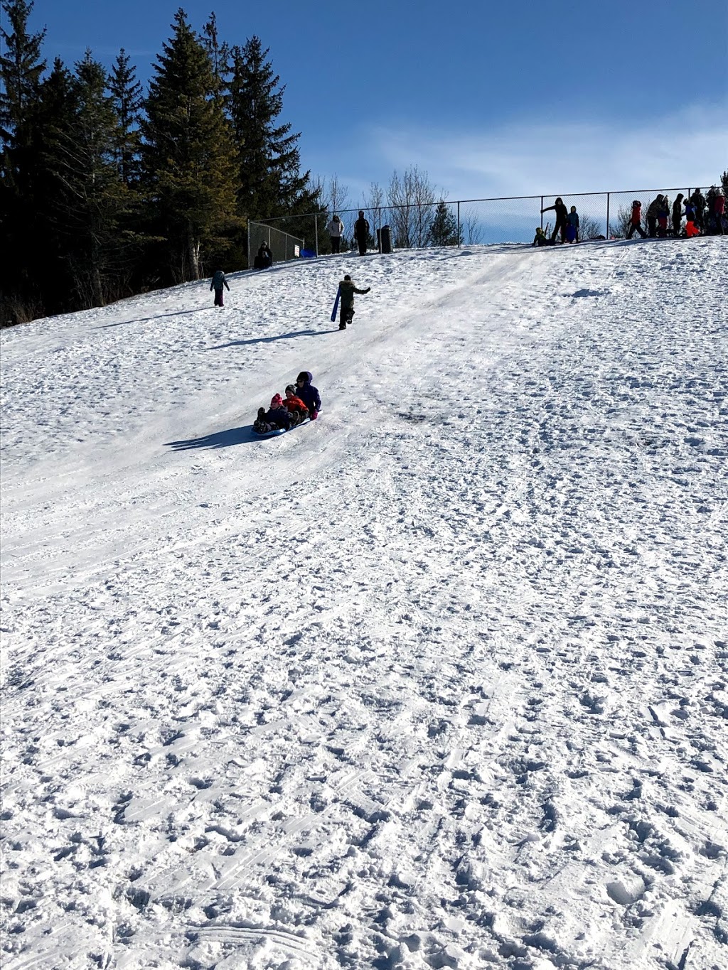 401 Hill Tobogganing Hill (Riverside Park) | Riverside Park Trail, Belleville, ON K8N 2S3, Canada | Phone: (613) 968-6481