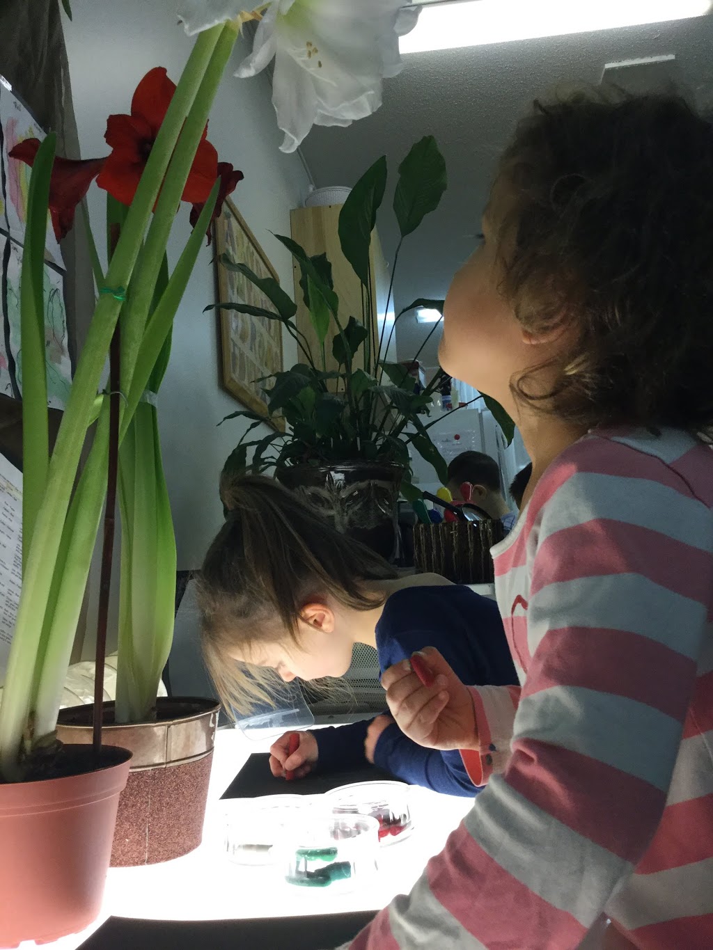 Childgarden Preschool | 2626 Spring St B, Port Moody, BC V3H 1Z4, Canada | Phone: (604) 637-9705