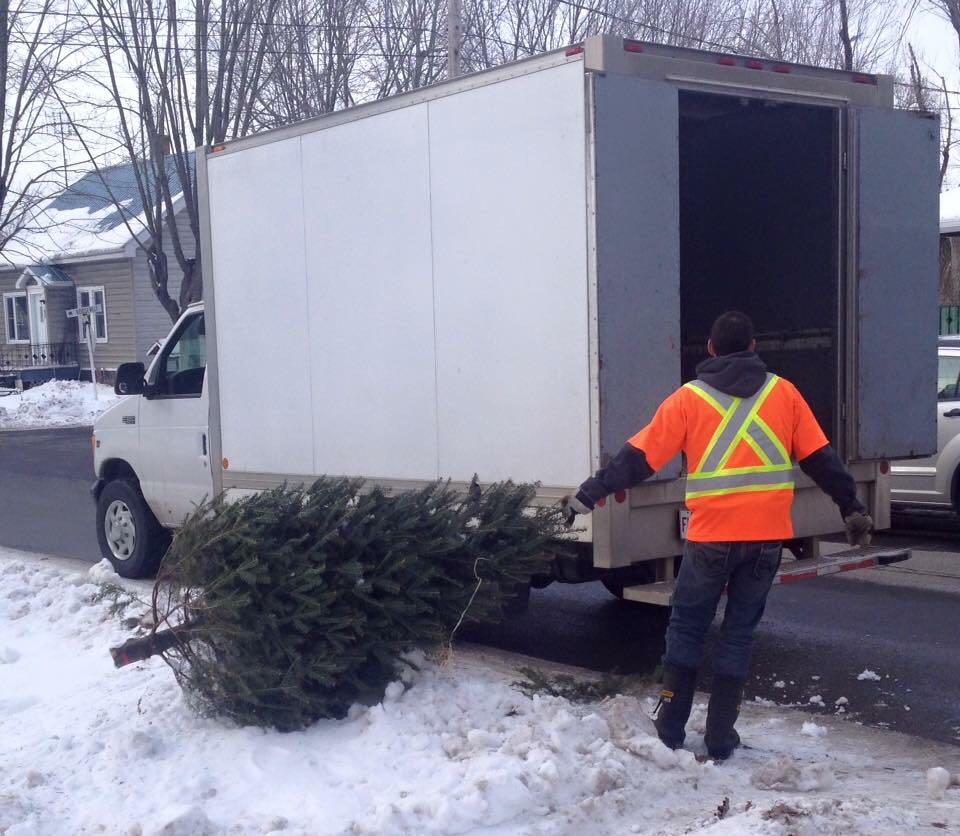 green cedar recycling | 5403 QC-132, Saint-Anicet, QC J0S 1M0, Canada | Phone: (450) 264-9562