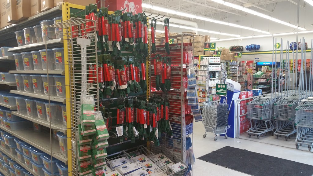 Dollarama | Crossing, 1030 Manitoba Ave, Selkirk, MB R1A 4M2, Canada | Phone: (204) 785-1551