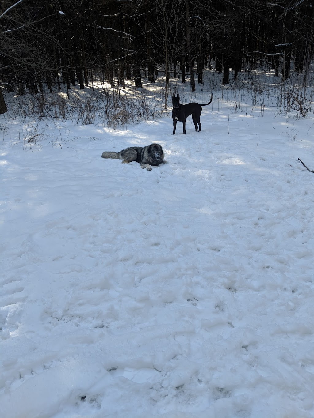 Shanna Larson Park | 48 Upper Thames, Woodstock, ON N4S 7W2, Canada | Phone: (519) 539-1291