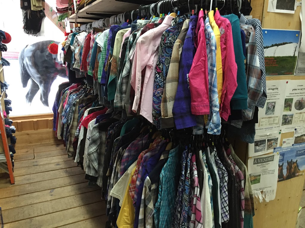 Boutique Equestre | 625 Route 321 N, Saint-André-Avellin, QC J0V 1W0, Canada | Phone: (819) 983-2626