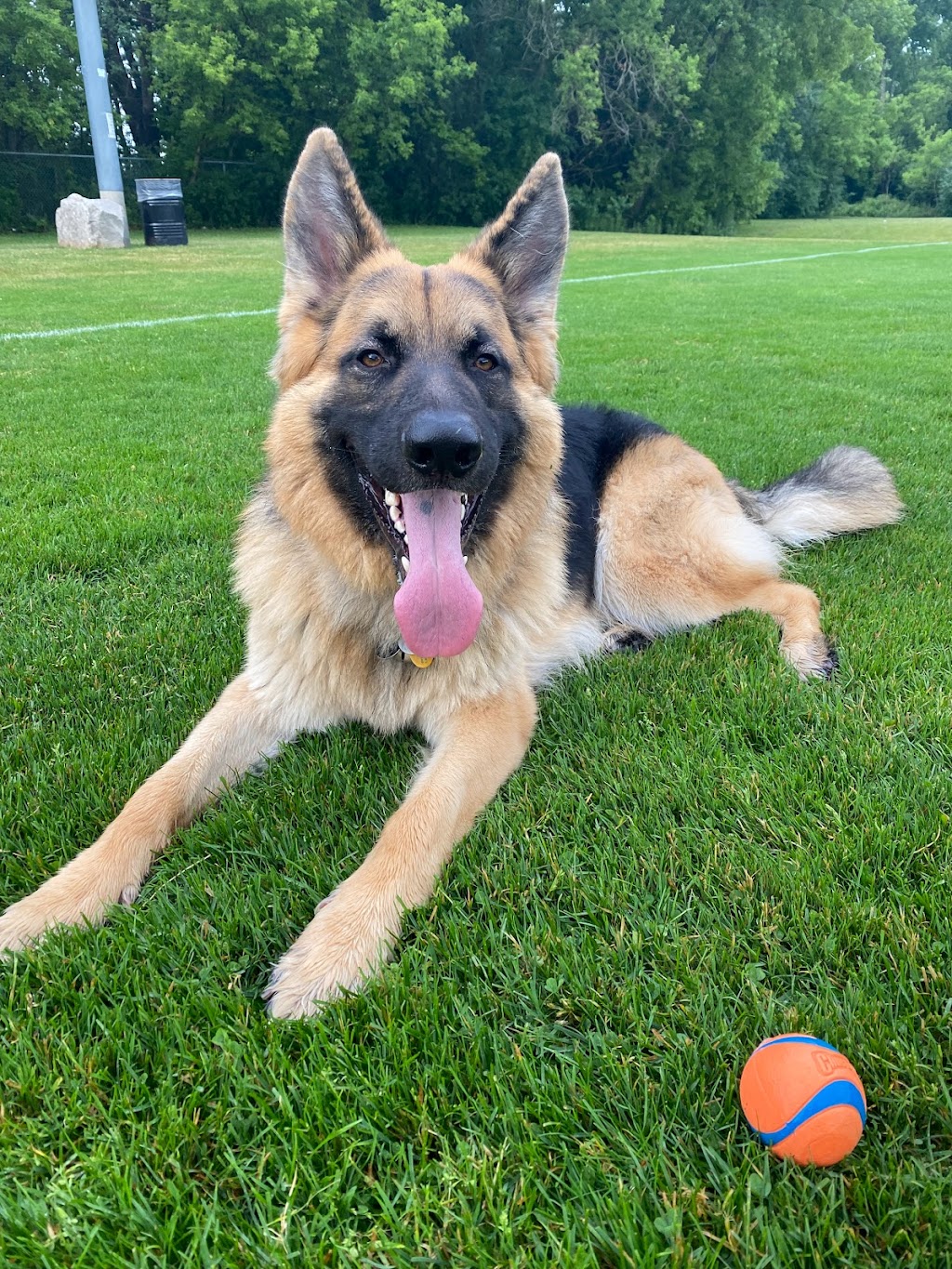 Camp Shake-A-Paw | 3023 Westdel Bourne, London, ON N6P 1N2, Canada | Phone: (226) 458-4488