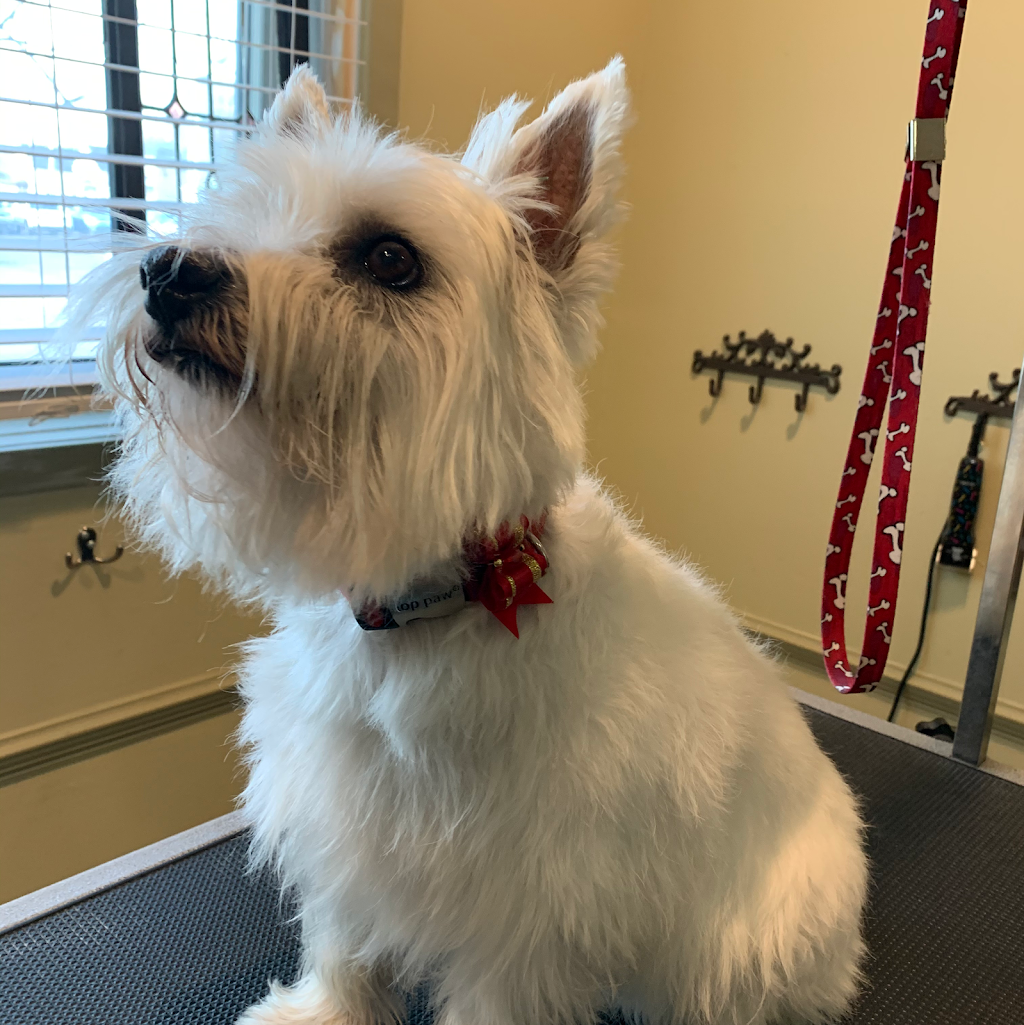 The Hounds On Merivale | 1014 Merivale Rd, Ottawa, ON K1Z 6A5, Canada | Phone: (613) 728-2951