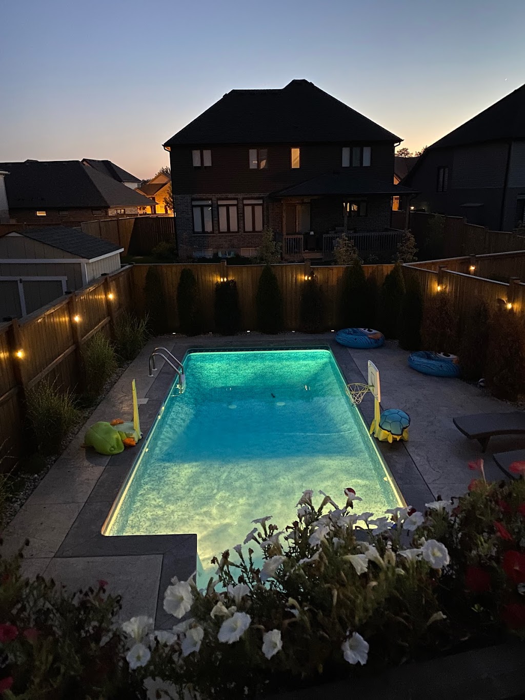 Swimply-Special Pool for Special People | 1463 N Wenige Dr, London, ON N5X 0J4, Canada | Phone: (226) 973-2655