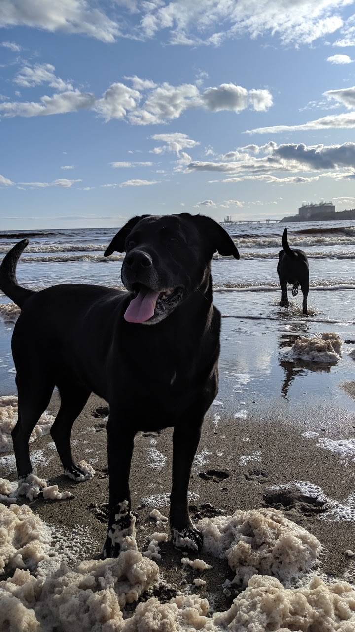 Mispec Beach | Simonds Parish, NB E2J, Canada | Phone: (506) 658-2908