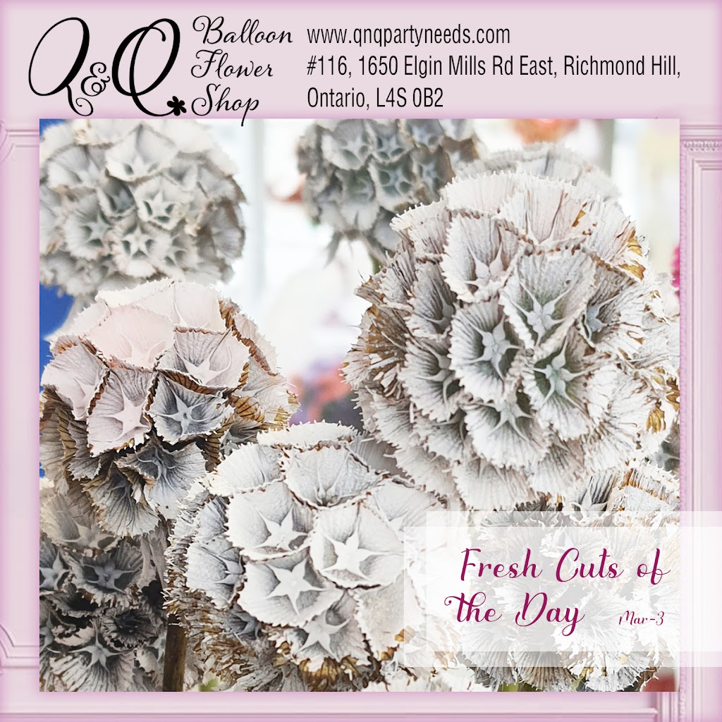 Q&Q Balloon Flower Shop | 1650 Elgin Mills Rd E unit 116, Richmond Hill, ON L4S 1M5, Canada | Phone: (905) 758-2901