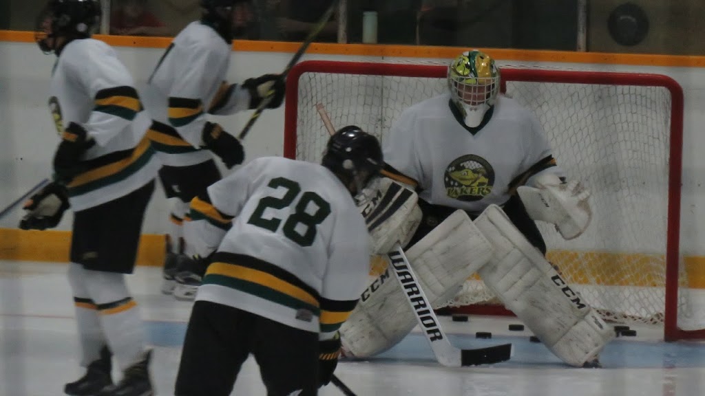 Wallaceburg Memorial Arena | 600 Wall St, Wallaceburg, ON N8A 3H9, Canada | Phone: (519) 627-1607