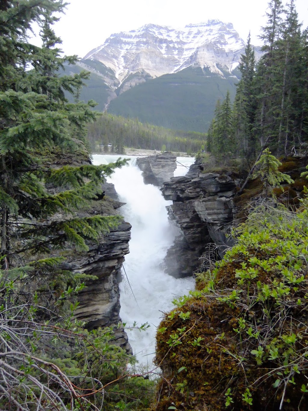 Lone Wolf Tours | 251 Berwick Dr NW, Calgary, AB T3K 1P6, Canada | Phone: (403) 246-9586