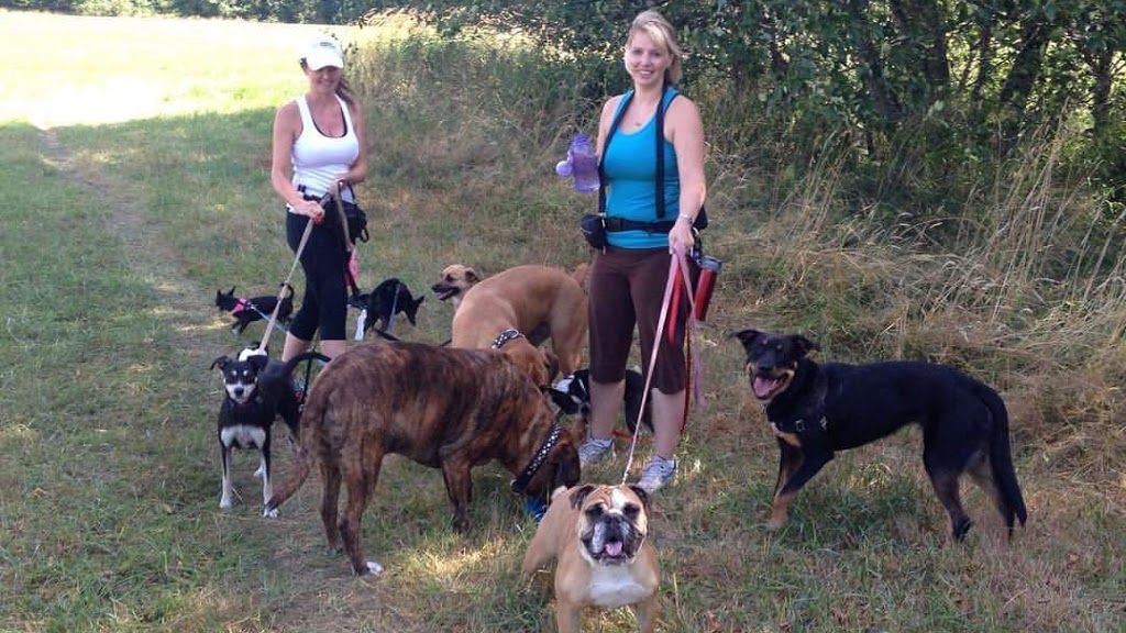 Alpha Dog House Training and Pet Care | 7923 Northwind Dr, Lantzville, BC V0R 2H0, Canada | Phone: (250) 618-1580