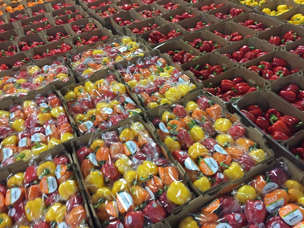 Zing! Healthy Foods | 627 Rd. 14, R.R. #5, Leamington, ON N8H 3V8, Canada | Phone: (519) 322-0400
