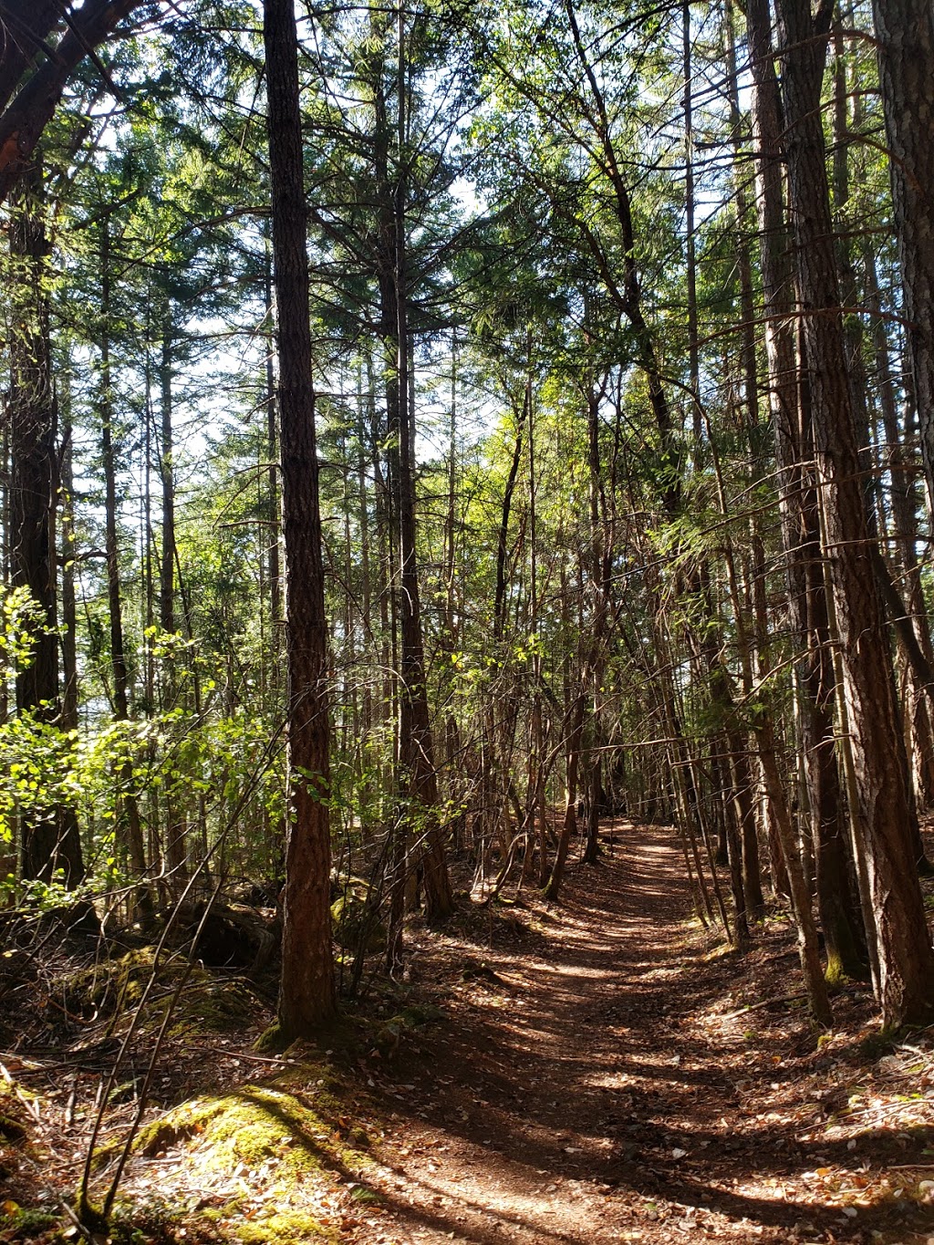 Notch Hill Park | 9G2, Powder Point Rd, Nanoose Bay, BC V9P 9G2, Canada | Phone: (250) 390-4111