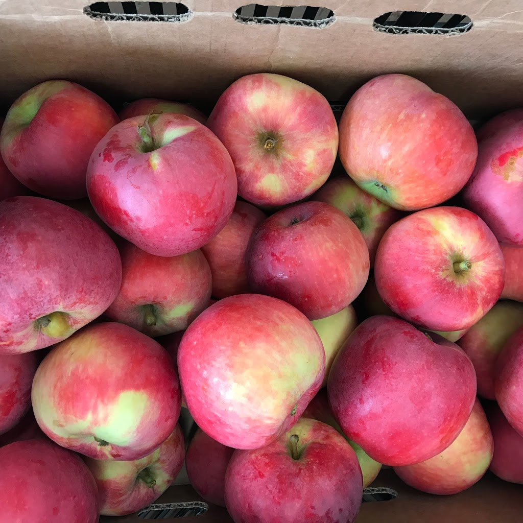 Cloud Mountain Farm Center Main Farm | 6906 Goodwin Rd, Everson, WA 98247, USA | Phone: (360) 966-5859