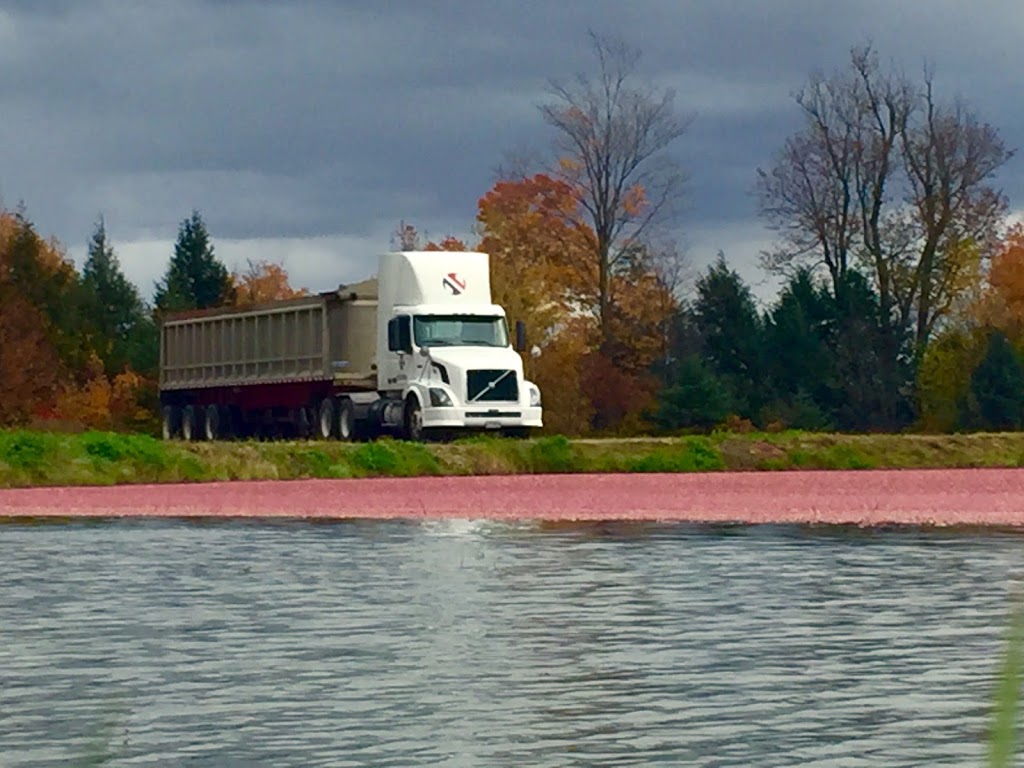 Transport Gaston Nadeau Inc | 850 Route Principale, Sainte-Mélanie, QC J0K 3A0, Canada | Phone: (450) 889-7237