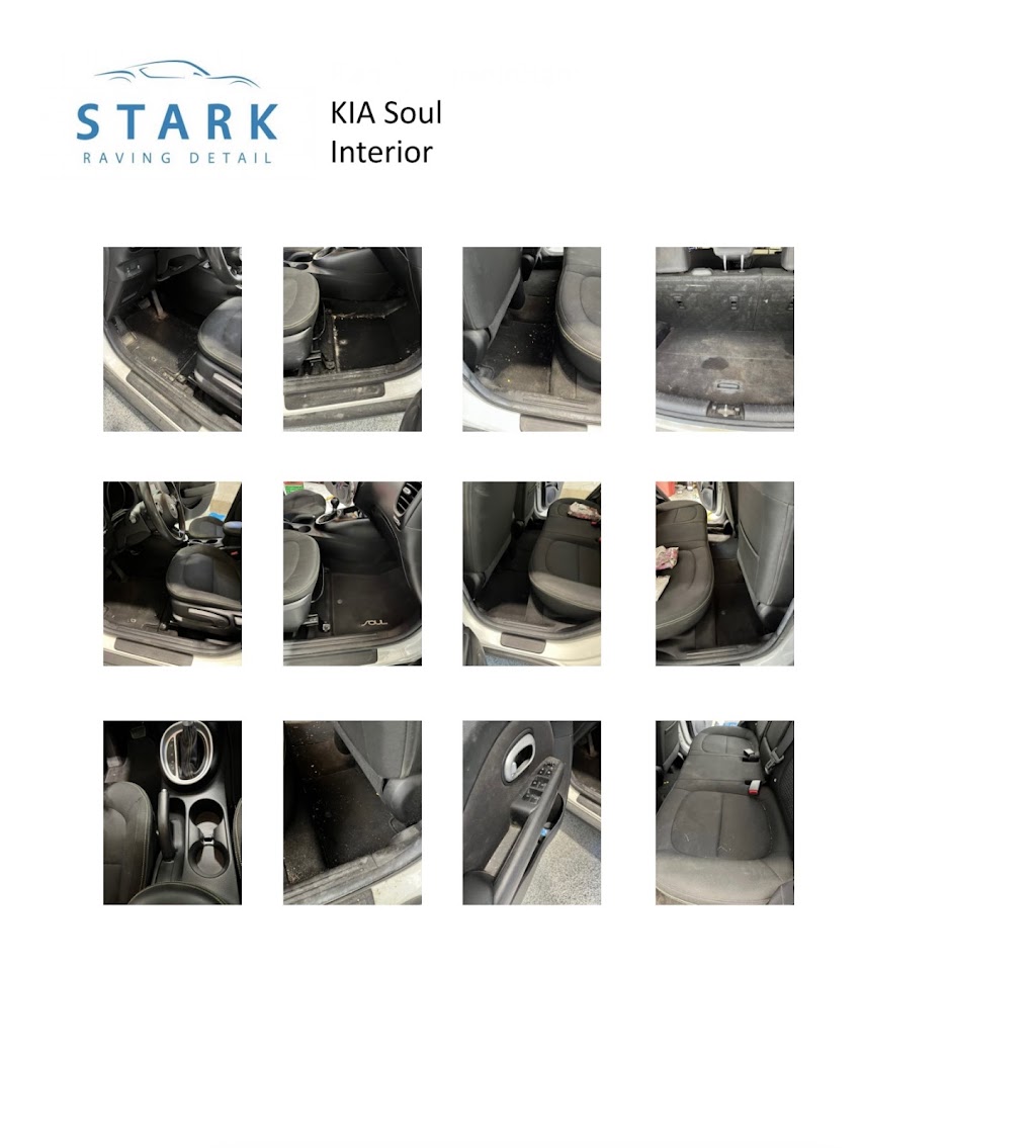 Stark Raving Detail | 1702 County Rd 3, Carrying Place, ON K0K 1L0, Canada | Phone: (613) 661-9095