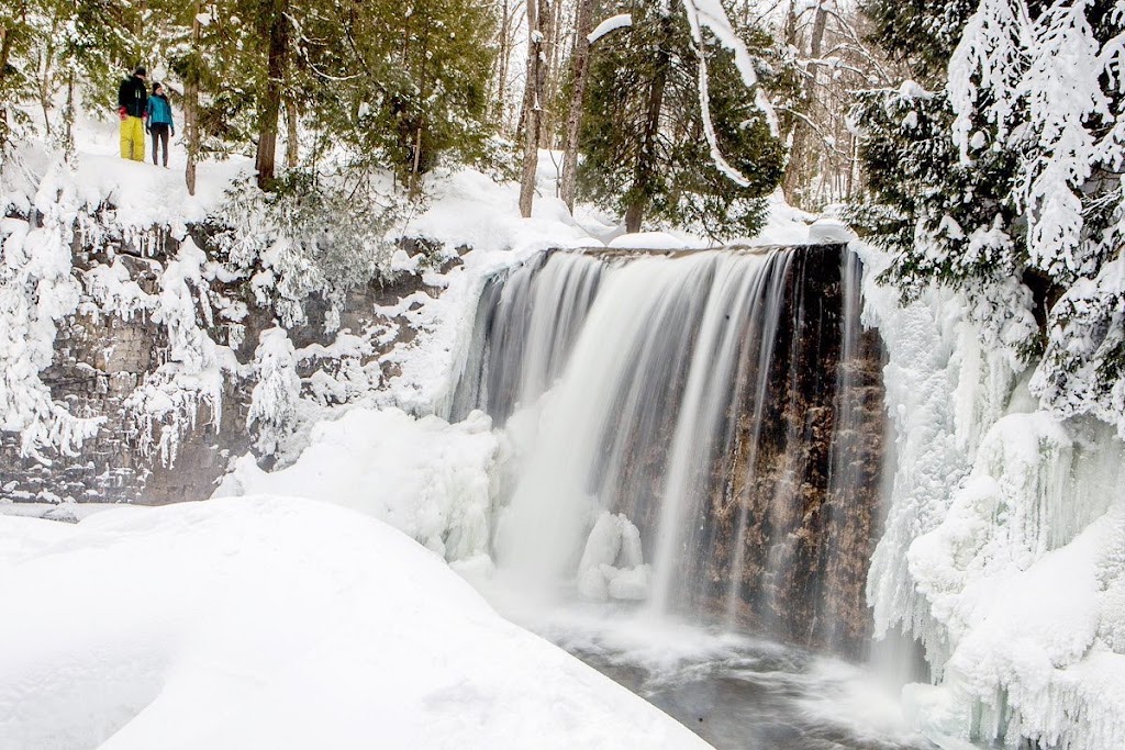 Blue Mountain & Collingwood Adventure Tours | 245 Raglan St Unit 100, Collingwood, ON L9Y 3Z1, Canada | Phone: (705) 446-5824