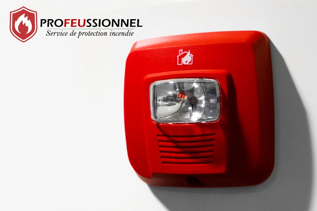 ProFEUssionnel | 1214 Rue des Chic-chocs, Repentigny, QC J5Y 0K1, Canada | Phone: (438) 558-2081