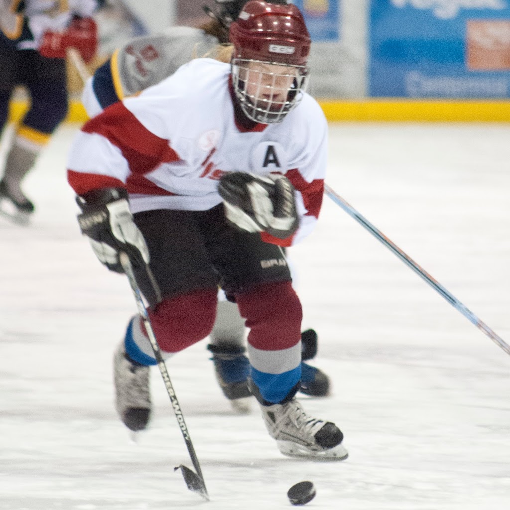Wolfprints Photography | 151 Water St, Riverside-Albert, NB E4H 4A1, Canada | Phone: (506) 870-8284