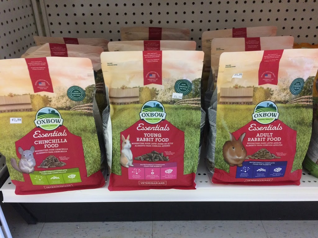 Kats Pets | 420 Leacock Dr, Barrie, ON L4N 5G5, Canada | Phone: (705) 503-2209